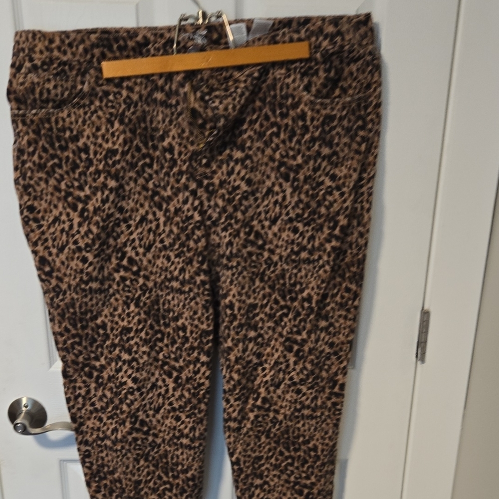 Terra & Sky Animal Print Pants